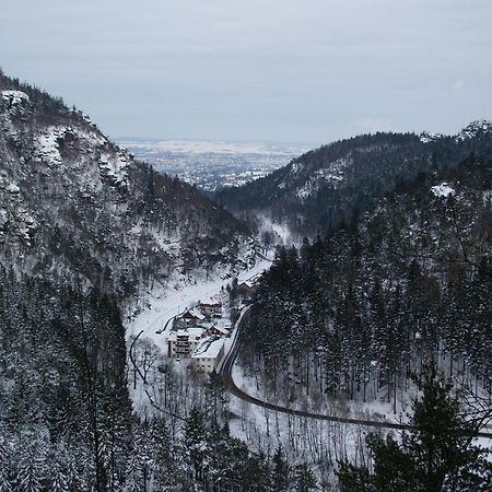Apartamento Wohlfühlzeit im Zittauer Gebirge Exterior foto