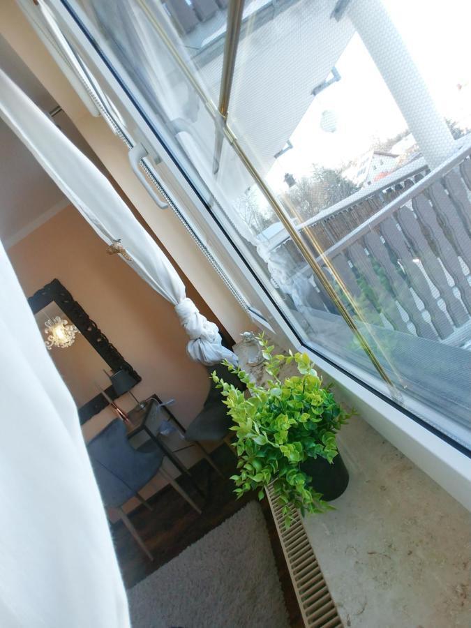 Apartamento Wohlfühlzeit im Zittauer Gebirge Exterior foto